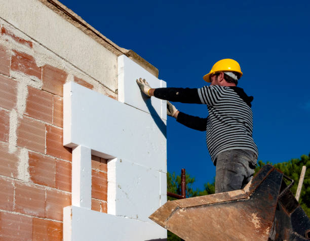 Best Insulation Installation Services in Colfax, IL