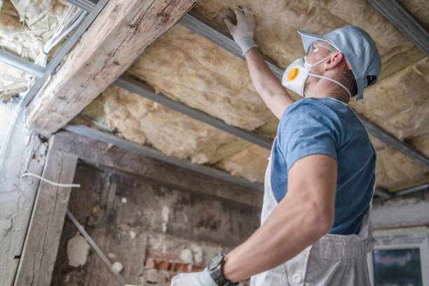 Best Energy Efficiency Solutions in Colfax, IL