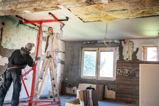 Best Insulation Installation Services in Colfax, IL